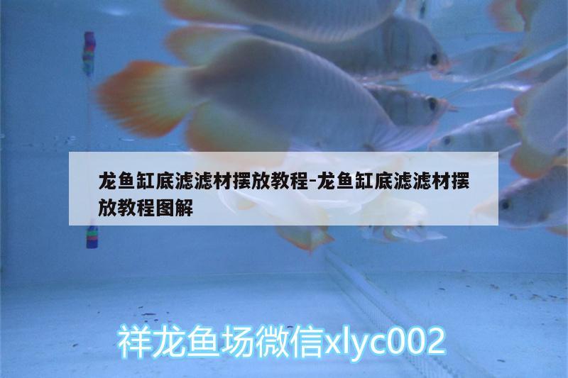 龍魚缸底濾濾材擺放教程:龍魚缸底濾濾材擺放教程圖解 薩伊藍魚