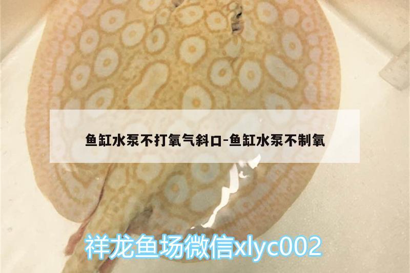 魚缸水泵不打氧氣斜口:魚缸水泵不制氧