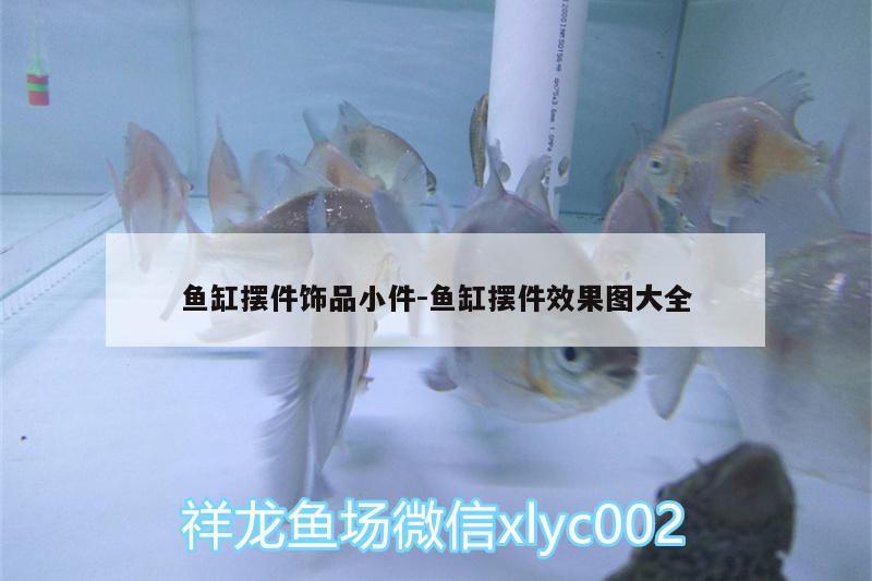 魚缸擺件飾品小件:魚缸擺件效果圖大全 硝化細菌