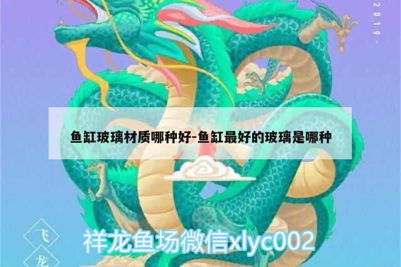 魚缸玻璃材質(zhì)哪種好:魚缸最好的玻璃是哪種 祥龍水族護(hù)理水