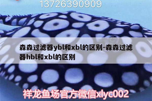 森森過濾器ybl和xbl的區(qū)別:森森過濾器hbl和xbl的區(qū)別 祥龍龍魚專用水族燈