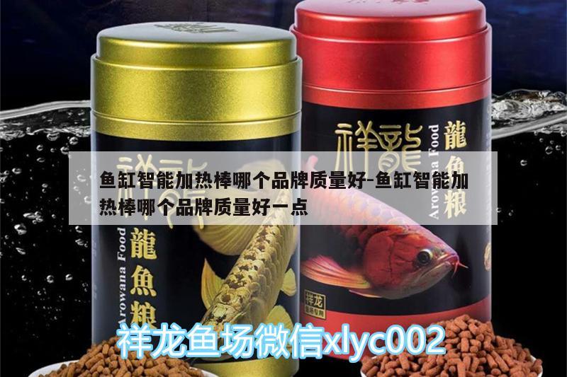 魚缸智能加熱棒哪個品牌質(zhì)量好:魚缸智能加熱棒哪個品牌質(zhì)量好一點 委內(nèi)瑞拉奧里諾三間魚苗