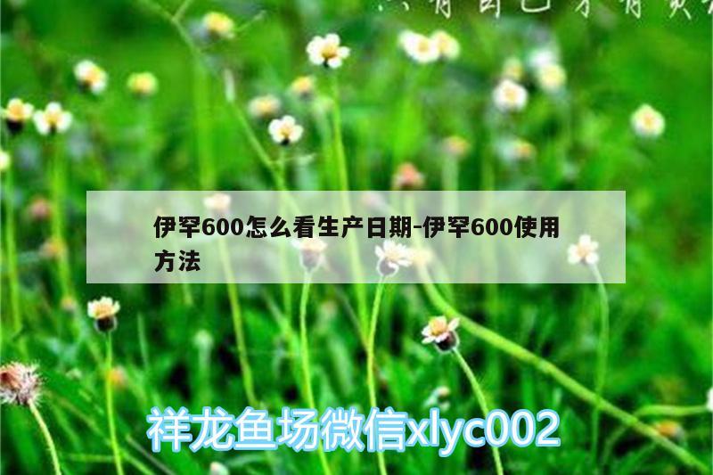 伊罕600怎么看生產(chǎn)日期:伊罕600使用方法