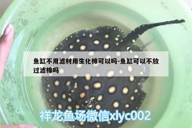 魚缸不用濾材用生化棉可以嗎:魚缸可以不放過濾棉嗎