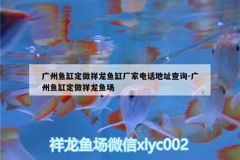 廣州魚(yú)缸定做祥龍魚(yú)缸廠家電話地址查詢:廣州魚(yú)缸定做祥龍魚(yú)場(chǎng)