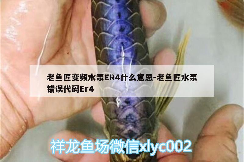 老魚匠變頻水泵ER4什么意思:老魚匠水泵錯誤代碼Er4 老魚匠