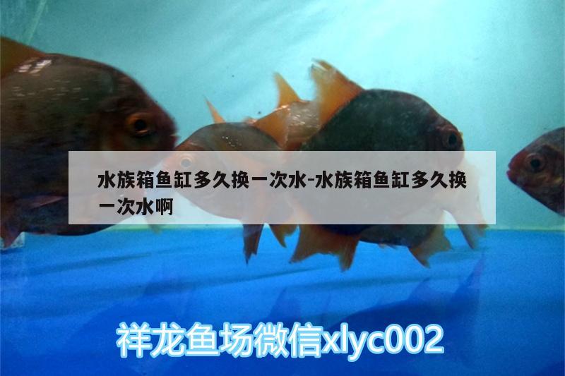 水族箱魚缸多久換一次水:水族箱魚缸多久換一次水啊