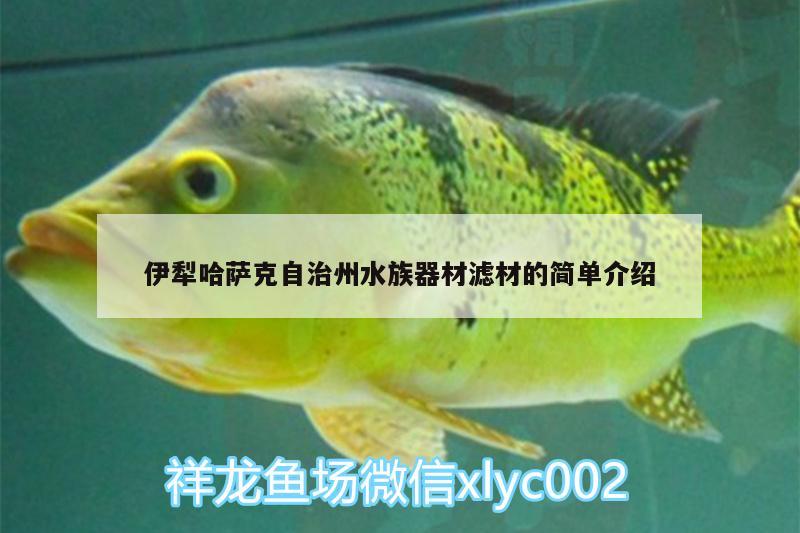 伊犁哈薩克自治州水族器材濾材的簡單介紹