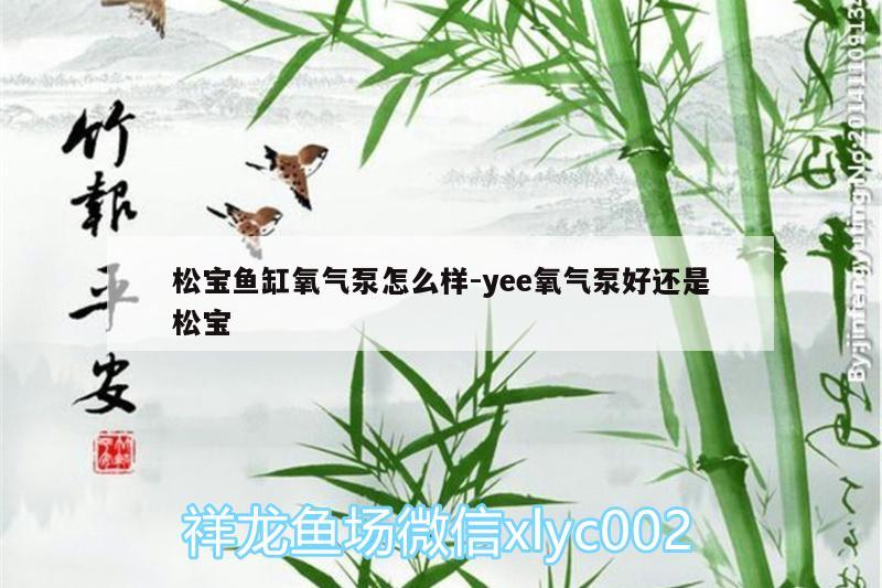 松寶魚缸氧氣泵怎么樣:yee氧氣泵好還是松寶