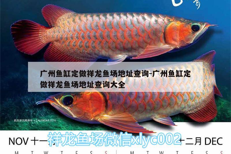 廣州魚缸定做祥龍魚場地址查詢:廣州魚缸定做祥龍魚場地址查詢大全 祥龍魚場