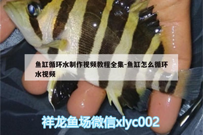 魚(yú)缸循環(huán)水制作視頻教程全集:魚(yú)缸怎么循環(huán)水視頻