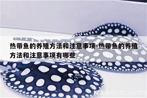 熱帶魚的養(yǎng)殖方法和注意事項:熱帶魚的養(yǎng)殖方法和注意事項有哪些 魚缸風水