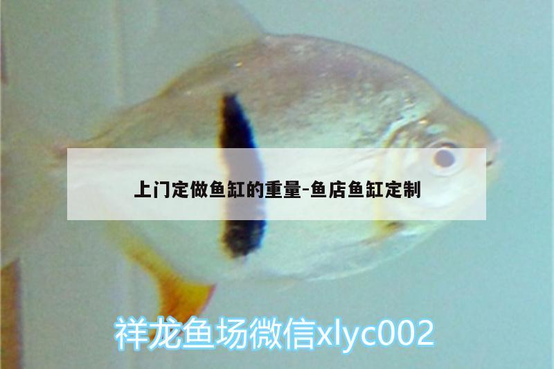 上門定做魚缸的重量:魚店魚缸定制