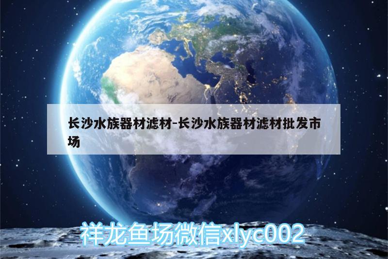 長沙水族器材濾材:長沙水族器材濾材批發(fā)市場 廣州水族器材濾材批發(fā)市場