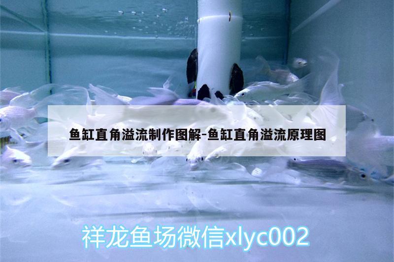 魚缸直角溢流制作圖解:魚缸直角溢流原理圖