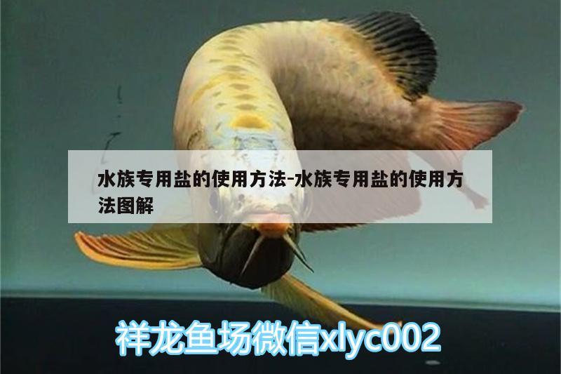 水族專用鹽的使用方法:水族專用鹽的使用方法圖解 觀賞魚飼料