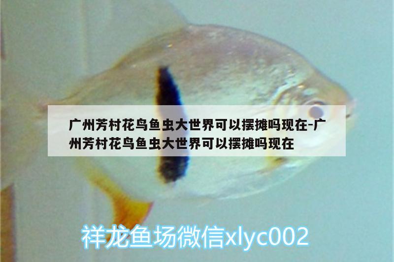 廣州芳村花鳥魚蟲大世界可以擺攤嗎現(xiàn)在:廣州芳村花鳥魚蟲大世界可以擺攤嗎現(xiàn)在