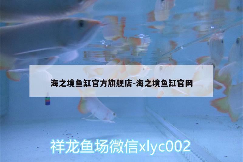 海之境魚缸官方旗艦店:海之境魚缸官網(wǎng) 朱巴利魚苗