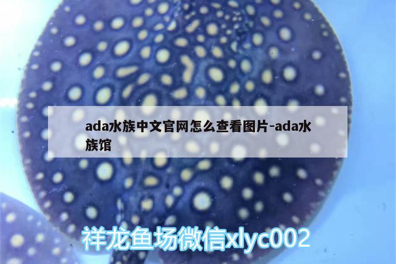 ada水族中文官網(wǎng)怎么查看圖片:ada水族館 金龍魚糧