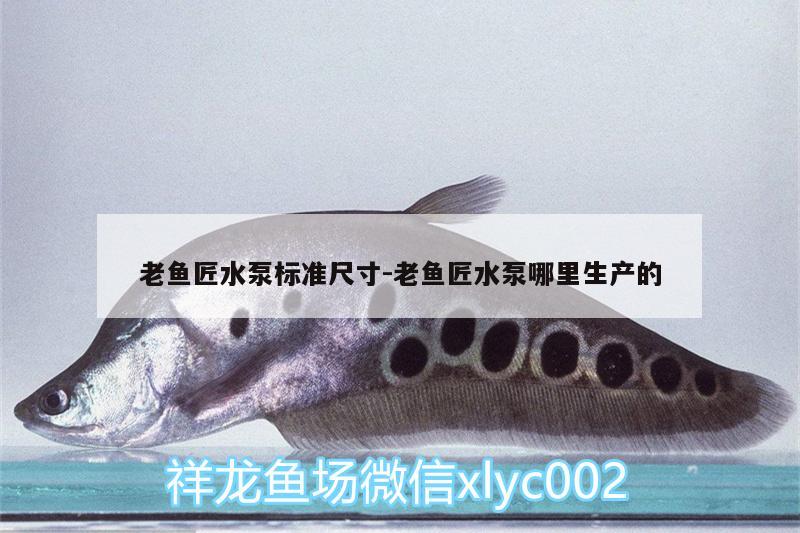 老魚(yú)匠水泵標(biāo)準(zhǔn)尺寸:老魚(yú)匠水泵哪里生產(chǎn)的 老魚(yú)匠