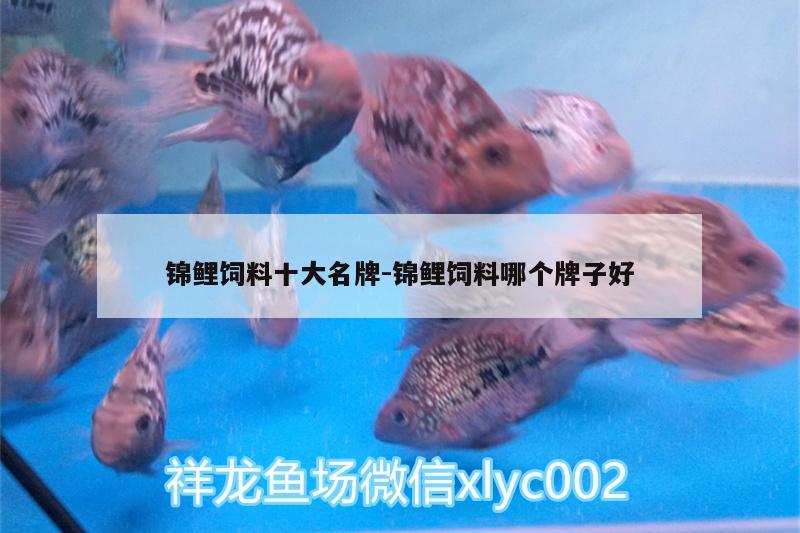 錦鯉飼料十大名牌:錦鯉飼料哪個(gè)牌子好 水族燈（魚缸燈）