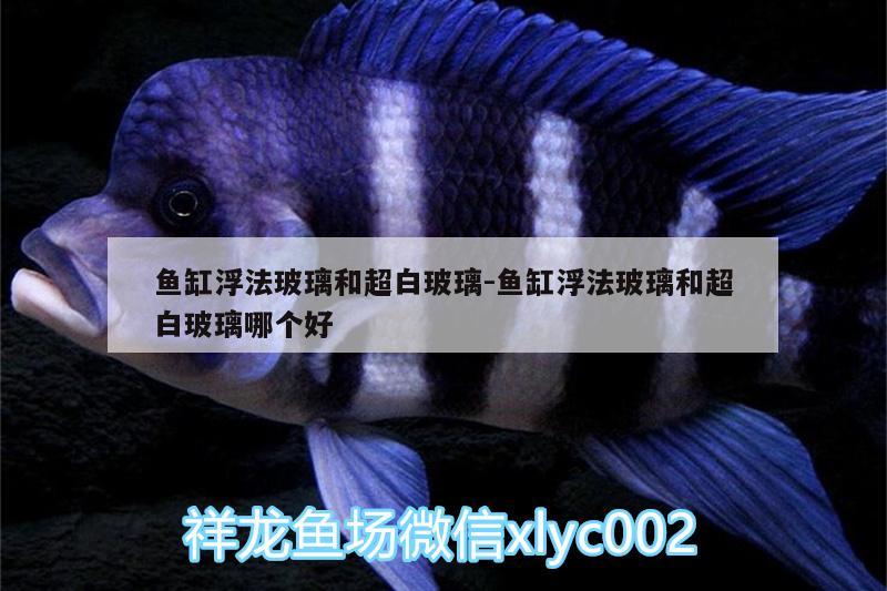 魚缸浮法玻璃和超白玻璃:魚缸浮法玻璃和超白玻璃哪個(gè)好