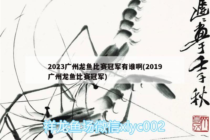 2023廣州龍魚比賽冠軍有誰(shuí)啊(2019廣州龍魚比賽冠軍)