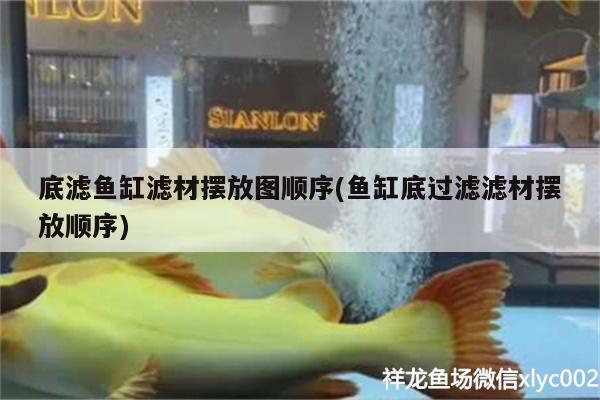 底濾魚缸濾材擺放圖順序(魚缸底過濾濾材擺放順序) 大正錦鯉魚