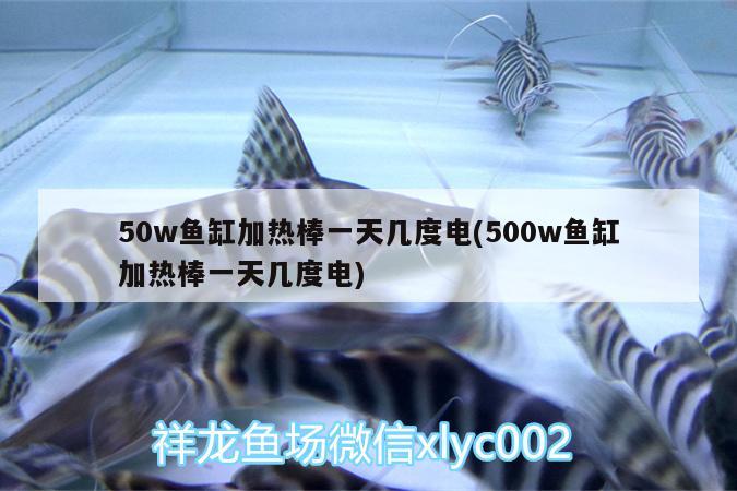 50w魚缸加熱棒一天幾度電(500w魚缸加熱棒一天幾度電)