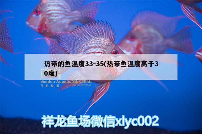 熱帶的魚溫度33:35(熱帶魚溫度高于30度)