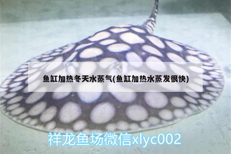 魚(yú)缸加熱冬天水蒸氣(魚(yú)缸加熱水蒸發(fā)很快) 觀賞魚(yú)企業(yè)目錄