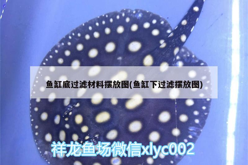 魚(yú)缸底過(guò)濾材料擺放圖(魚(yú)缸下過(guò)濾擺放圖) 過(guò)濾設(shè)備 第2張