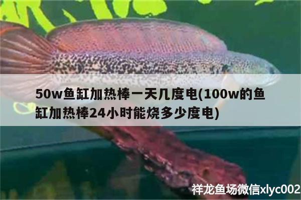 50w魚缸加熱棒一天幾度電(100w的魚缸加熱棒24小時能燒多少度電) 三間鼠魚