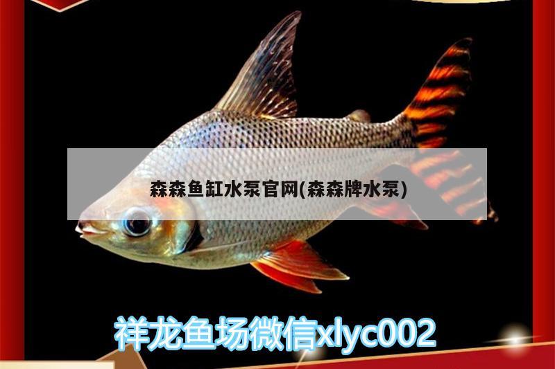 森森魚缸水泵官網(wǎng)(森森牌水泵) 魚缸水泵