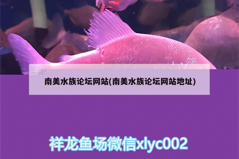 南美水族論壇網(wǎng)站(南美水族論壇網(wǎng)站地址) 定時器/自控系統(tǒng)