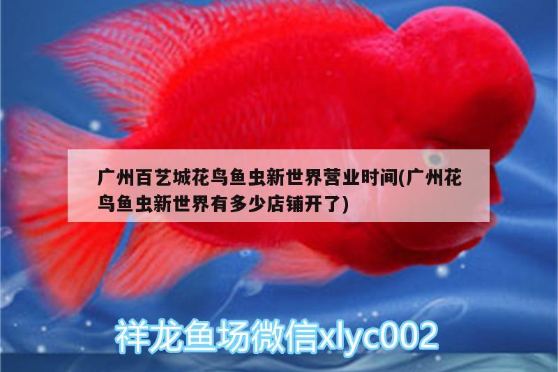 廣州百藝城花鳥(niǎo)魚蟲新世界營(yíng)業(yè)時(shí)間(廣州花鳥(niǎo)魚蟲新世界有多少店鋪開(kāi)了) 觀賞魚飼料