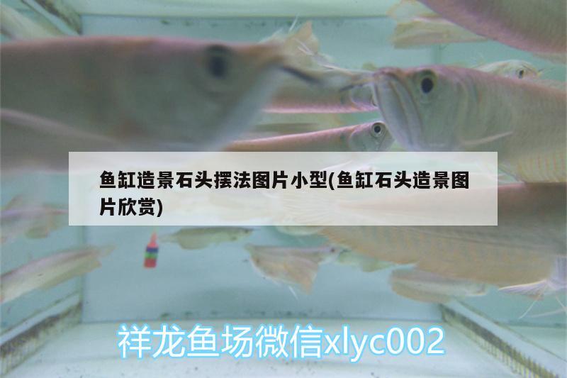 魚缸造景石頭擺法圖片小型(魚缸石頭造景圖片欣賞) 祥龍魚場品牌產(chǎn)品