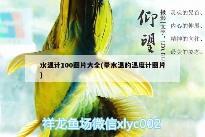 水溫計(jì)100圖片大全(量水溫的溫度計(jì)圖片)