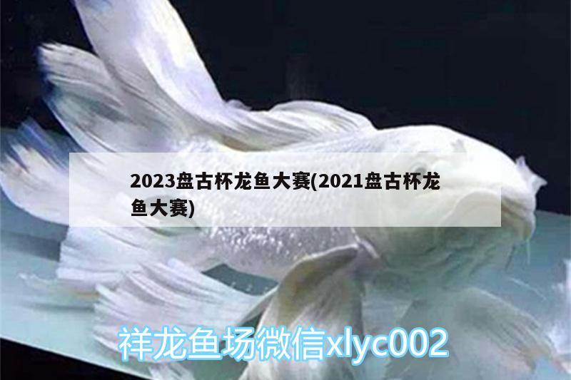 2023盤古杯龍魚大賽(2021盤古杯龍魚大賽) 七紋巨鯉魚