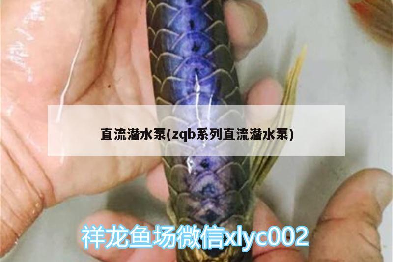 直流潛水泵(zqb系列直流潛水泵) 水族雜談