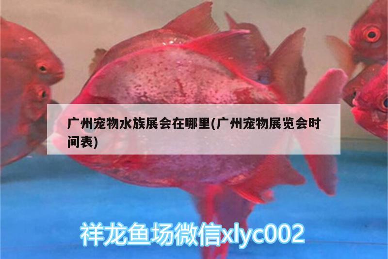 廣州寵物水族展會(huì)在哪里(廣州寵物展覽會(huì)時(shí)間表)