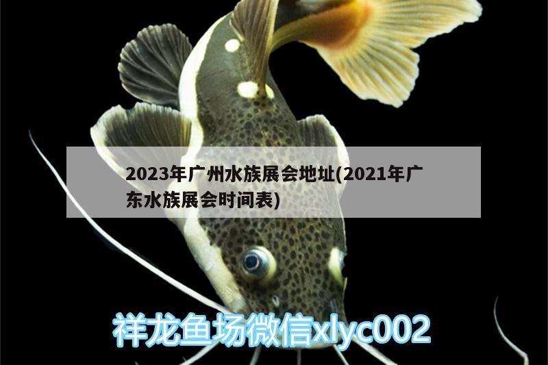 2023年廣州水族展會地址(2021年廣東水族展會時間表)