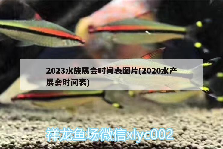 2023水族展會時間表圖片(2020水產(chǎn)展會時間表) 水族展會