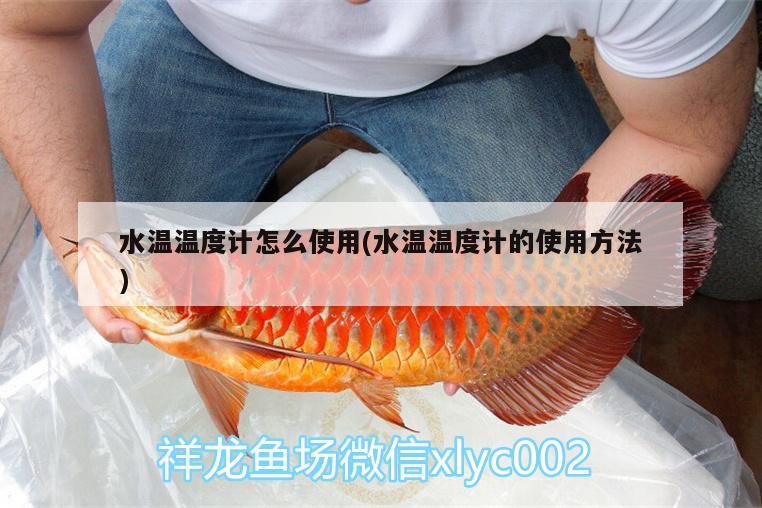 水溫溫度計怎么使用(水溫溫度計的使用方法) 養(yǎng)魚的好處