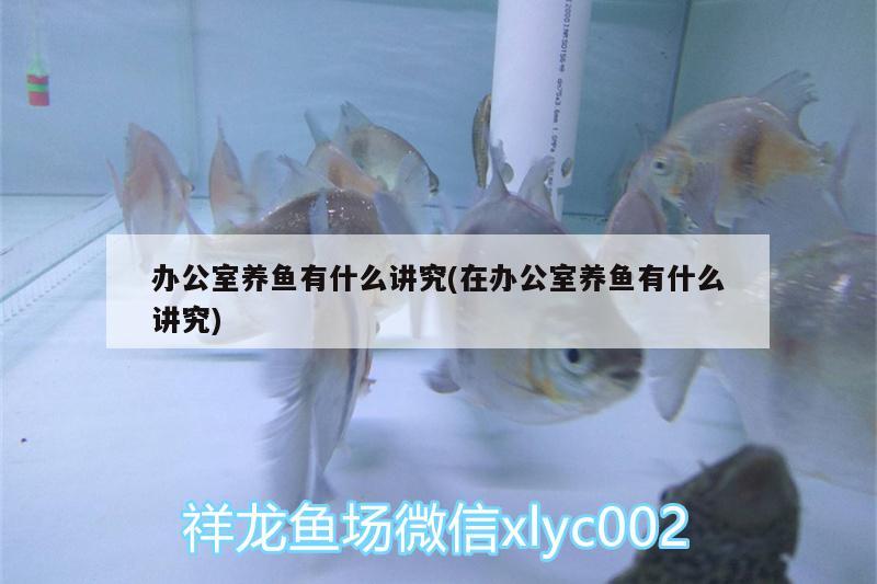 辦公室養(yǎng)魚有什么講究(在辦公室養(yǎng)魚有什么講究) 沖氧泵