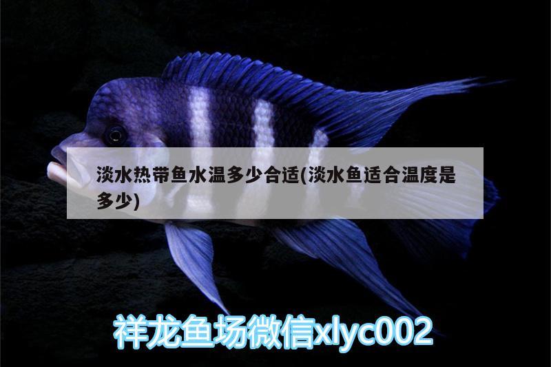 淡水熱帶魚水溫多少合適(淡水魚適合溫度是多少)