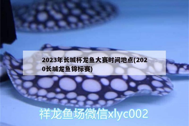 2023年長城杯龍魚大賽時間地點(2020長城龍魚錦標(biāo)賽) 2024第28屆中國國際寵物水族展覽會CIPS（長城寵物展2024 CIPS）