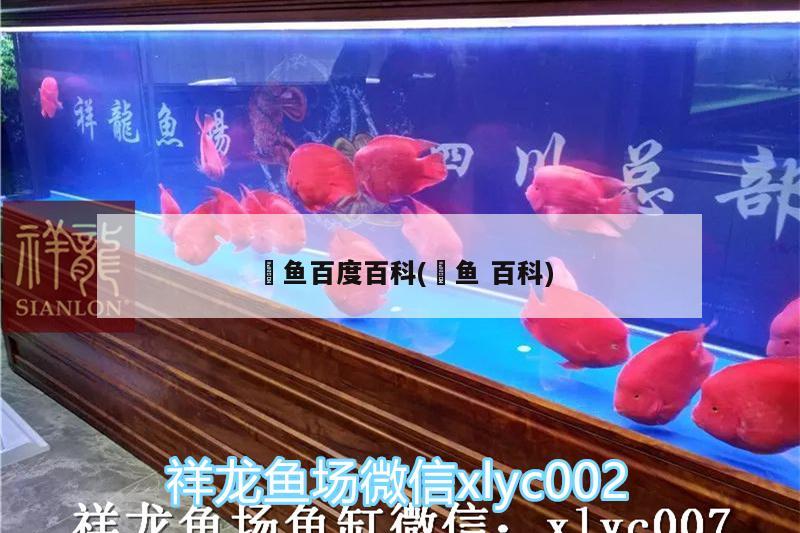 魟魚(yú)百度百科(鳉魚(yú)百科)