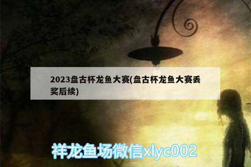 2023盤古杯龍魚大賽(盤古杯龍魚大賽丟獎后續(xù))