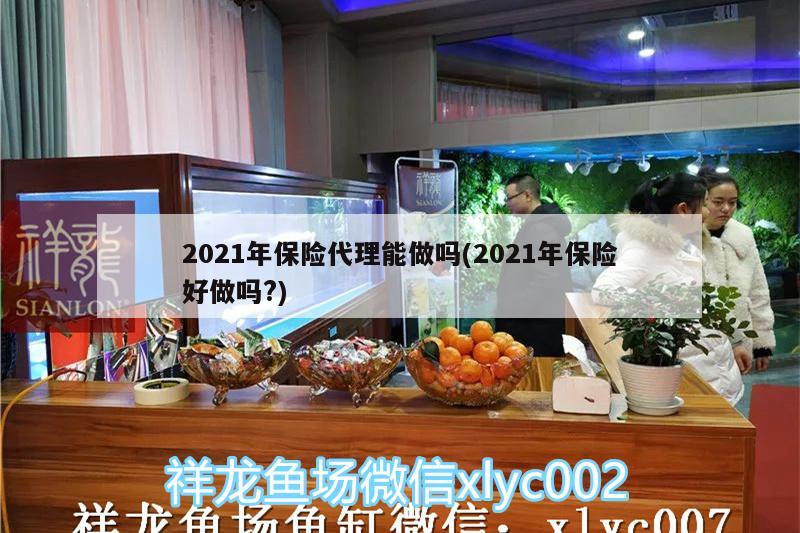 2021年保險代理能做嗎(2021年保險好做嗎?) 羅漢魚批發(fā)